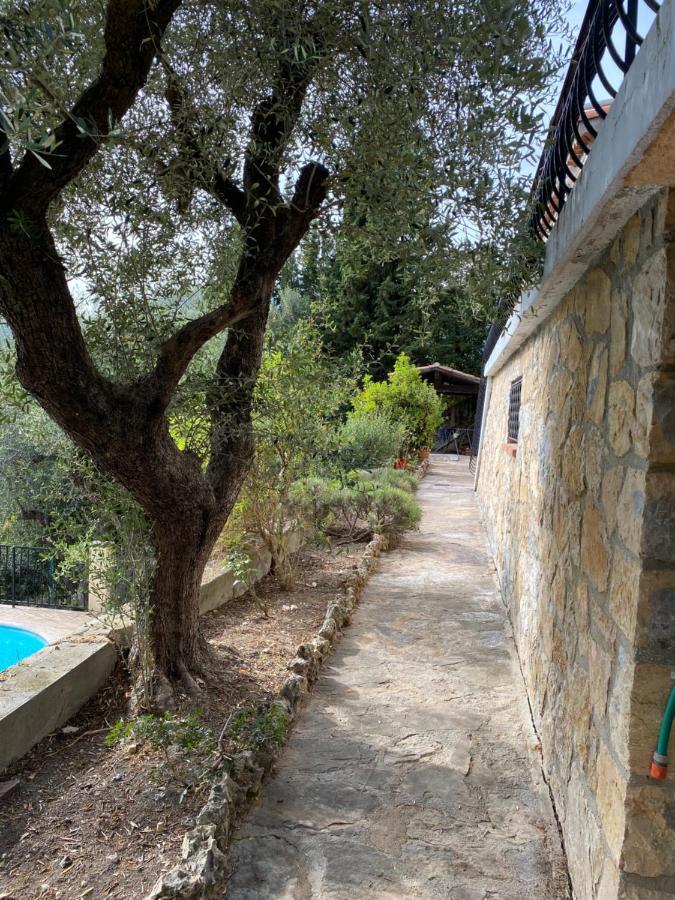 Entre Nice Et Monaco Grande Villa Avec Piscine Privee 12 Personnes Drap Exteriér fotografie
