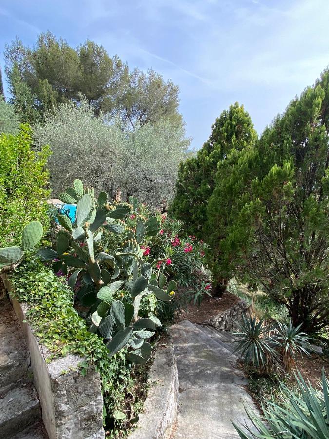 Entre Nice Et Monaco Grande Villa Avec Piscine Privee 12 Personnes Drap Exteriér fotografie