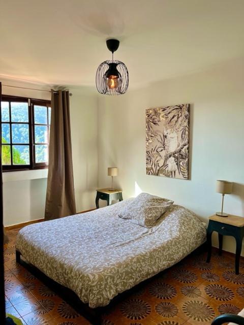Entre Nice Et Monaco Grande Villa Avec Piscine Privee 12 Personnes Drap Exteriér fotografie