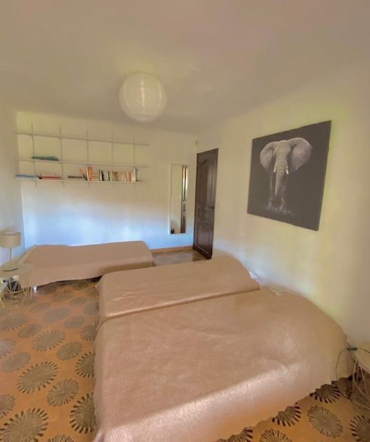 Entre Nice Et Monaco Grande Villa Avec Piscine Privee 12 Personnes Drap Exteriér fotografie
