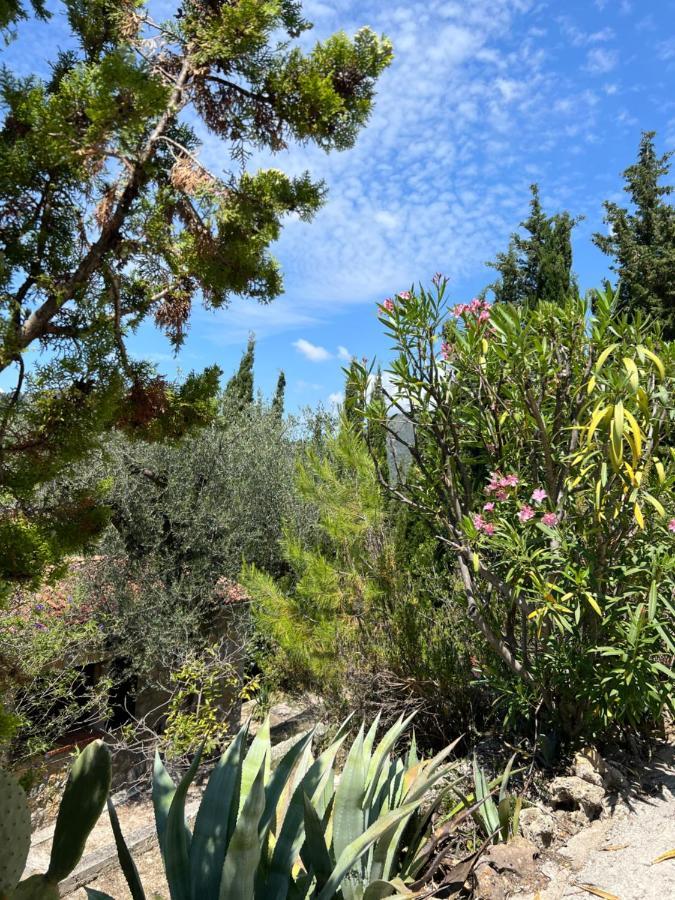 Entre Nice Et Monaco Grande Villa Avec Piscine Privee 12 Personnes Drap Exteriér fotografie
