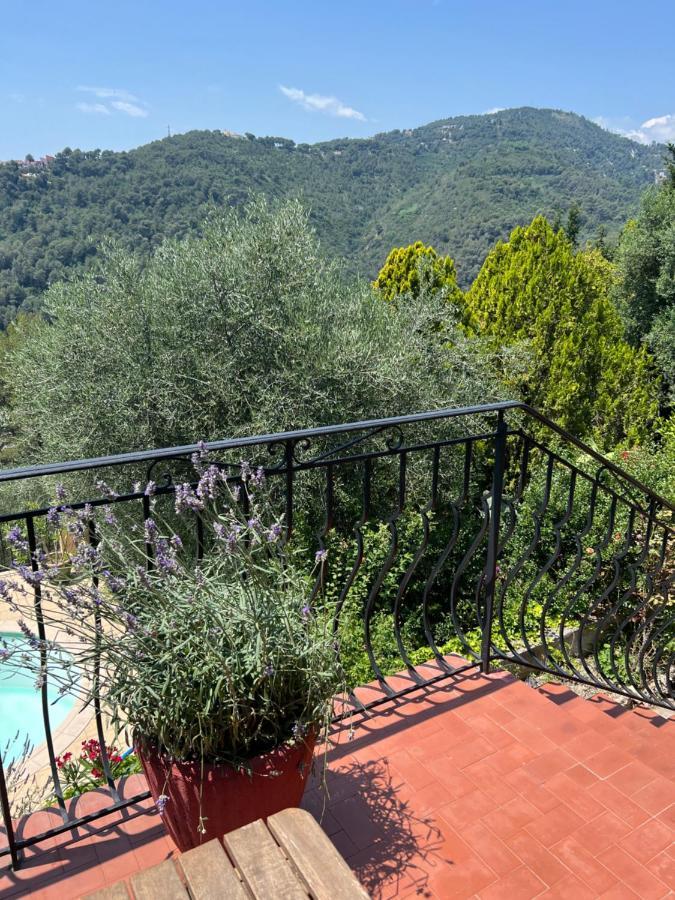 Entre Nice Et Monaco Grande Villa Avec Piscine Privee 12 Personnes Drap Exteriér fotografie