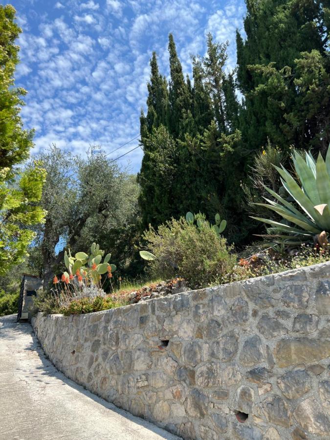Entre Nice Et Monaco Grande Villa Avec Piscine Privee 12 Personnes Drap Exteriér fotografie
